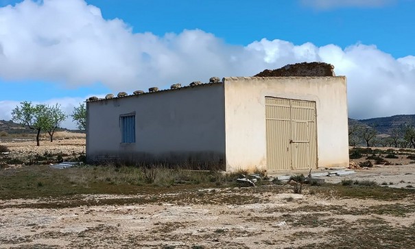 Parcelle Terrain - Revente - Yecla - Yecla