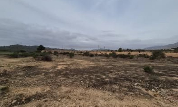 Perceel Grond - Herverkoop - Hondón de las Nieves - Hondón de las Nieves