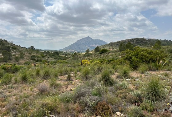 Perceel / Grond - Herverkoop - Hondón de las Nieves - Hondón de las Nieves