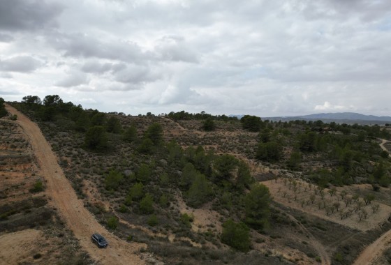 Perceel / Grond - Herverkoop - La Zarza -
                La Zarza