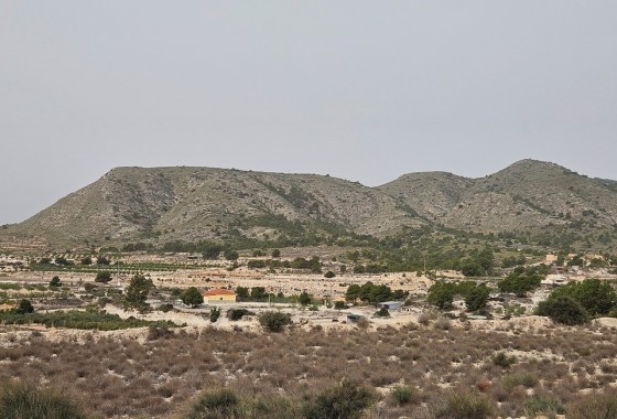 Perceel / Grond - Herverkoop - Novelda - Novelda