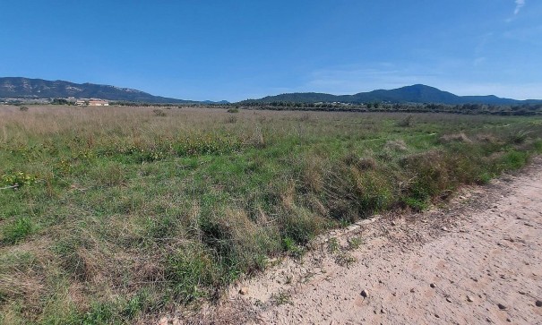 Perceel Grond - Herverkoop - Salinas - Salinas