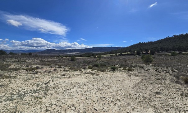 Perceel Grond - Herverkoop - Salinas - Salinas