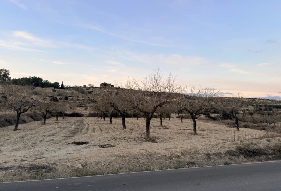 Perceel / Grond - Herverkoop - Torremendo -
                Costa Blanca