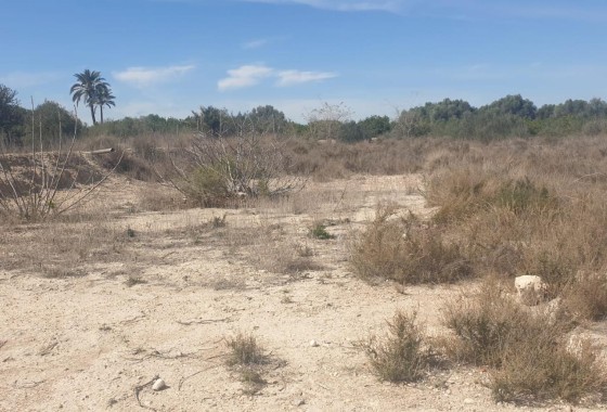 Plot / Land - Resale - Benferri -
                Benferri