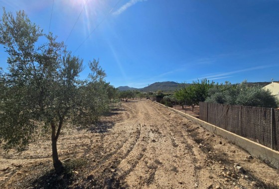 Plot / Land - Resale - Salinas - Salinas