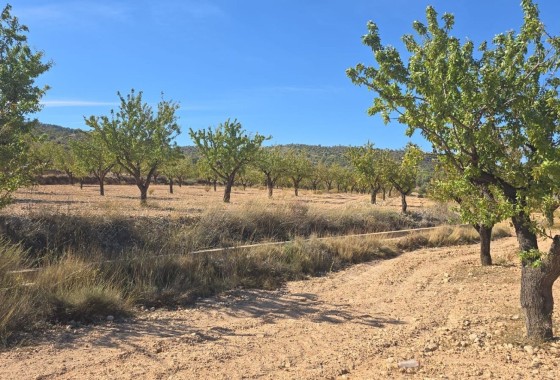 Plot / Land - Resale - Salinas - Salinas