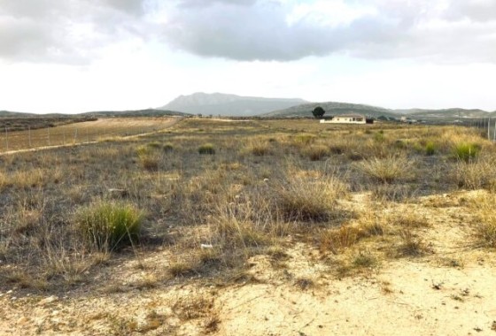 Plot / Land - Resale - Torre del Rico - Torre del Rico