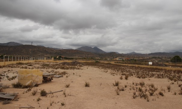 Plot Land - Sale - Abanilla - Abanilla