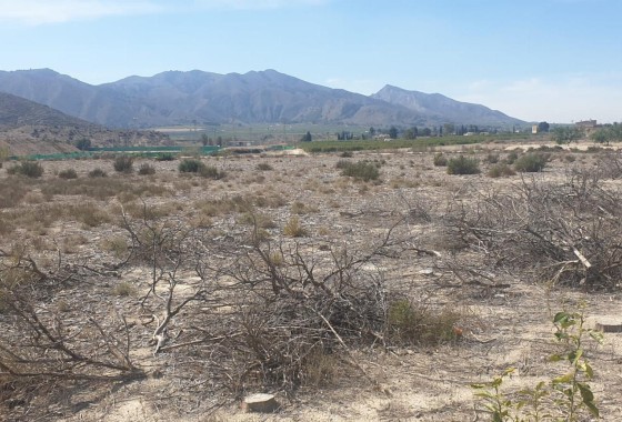 Plot Land - Sale - Benferri - HUERTA PUEBLO