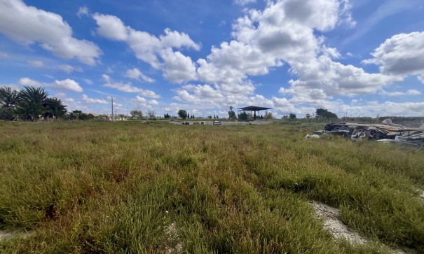 Plot Land - Sale - Catral - Catral