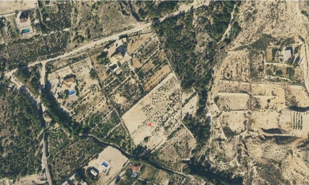 Plot Land - Sale - Crevillente - Crevillente