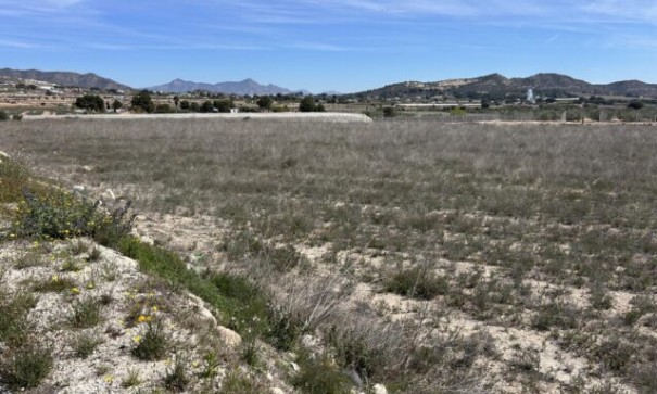 Plot Land - Sale - La Romana - La Romana