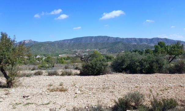 Plot Land - Sale - Monóvar - Monóvar