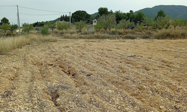 Plot Land - Sale - Monóvar - Monóvar