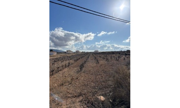 Plot Land - Sale - Pinoso - el Pinós / Pinoso