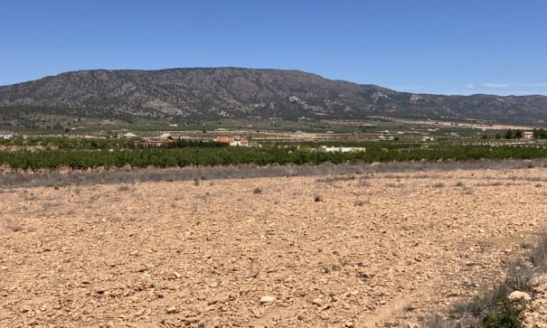 Plot Land - Sale - Pinoso - Lel