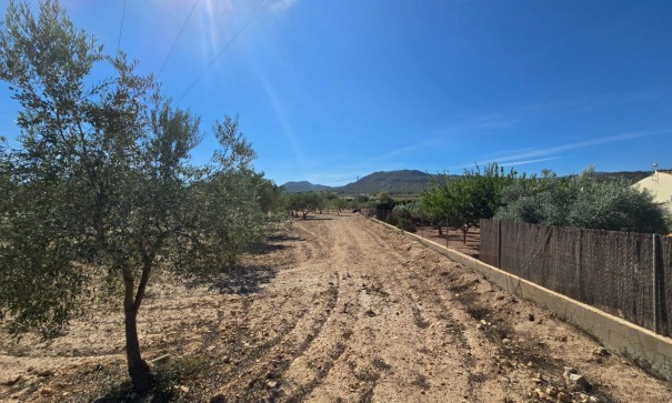 Plot Land - Sale - Salinas - Salinas