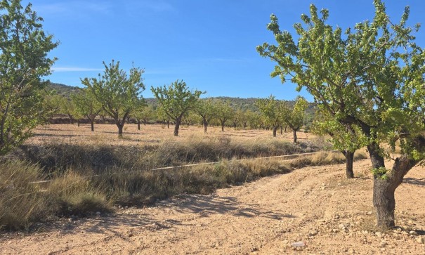 Plot Land - Sale - Salinas - Salinas