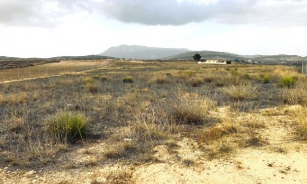 Plot Land - Sale - Torre del Rico - Torre del Rico