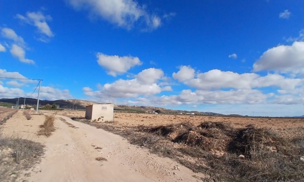 Plot Land - Sale - Yecla - Yecla