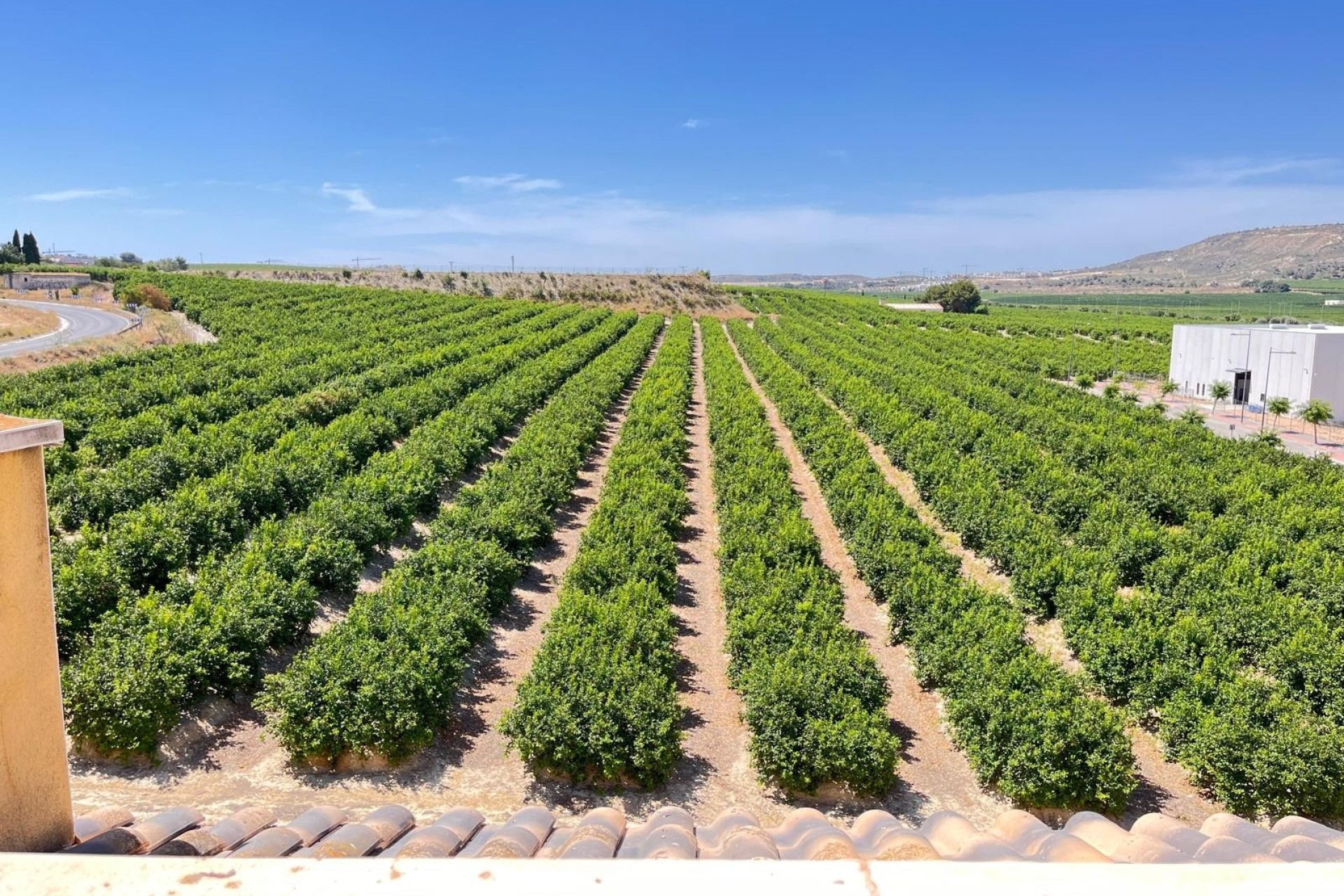 Resale - Apartment / Flat -
Algorfa - Pueblo