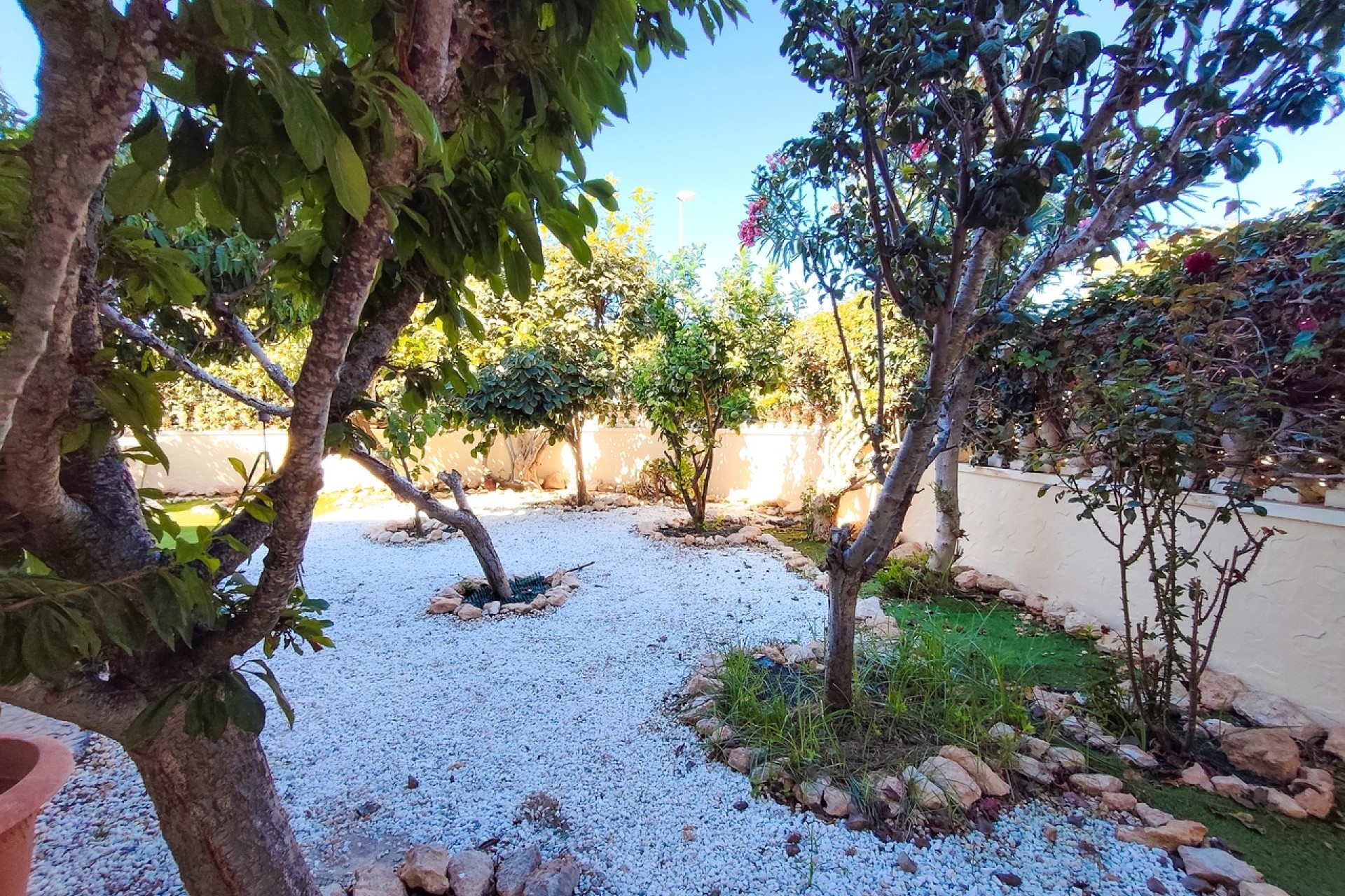 Resale - Apartment / Flat -
Cabo Roig