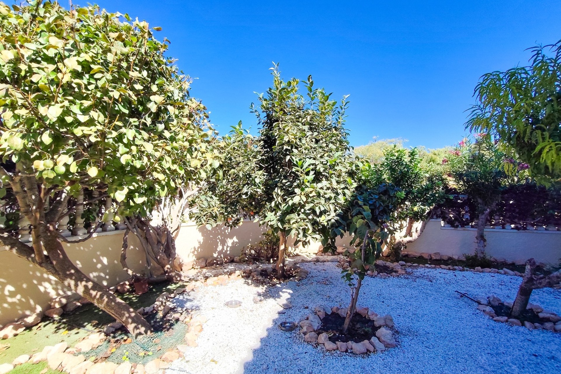 Resale - Apartment / Flat -
Cabo Roig