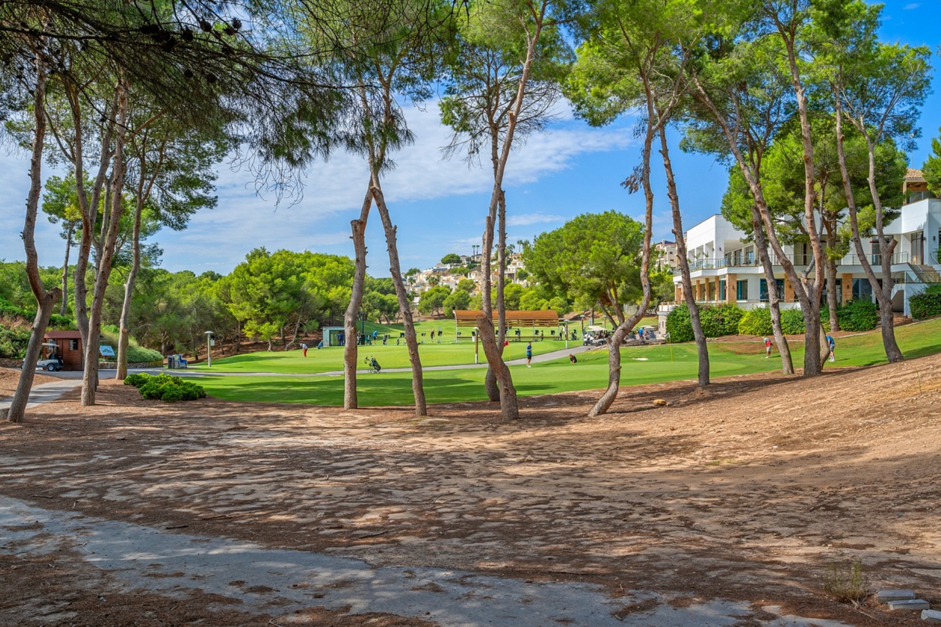 Resale - Apartment / Flat -
Dehesa de Campoamor - Campoamor