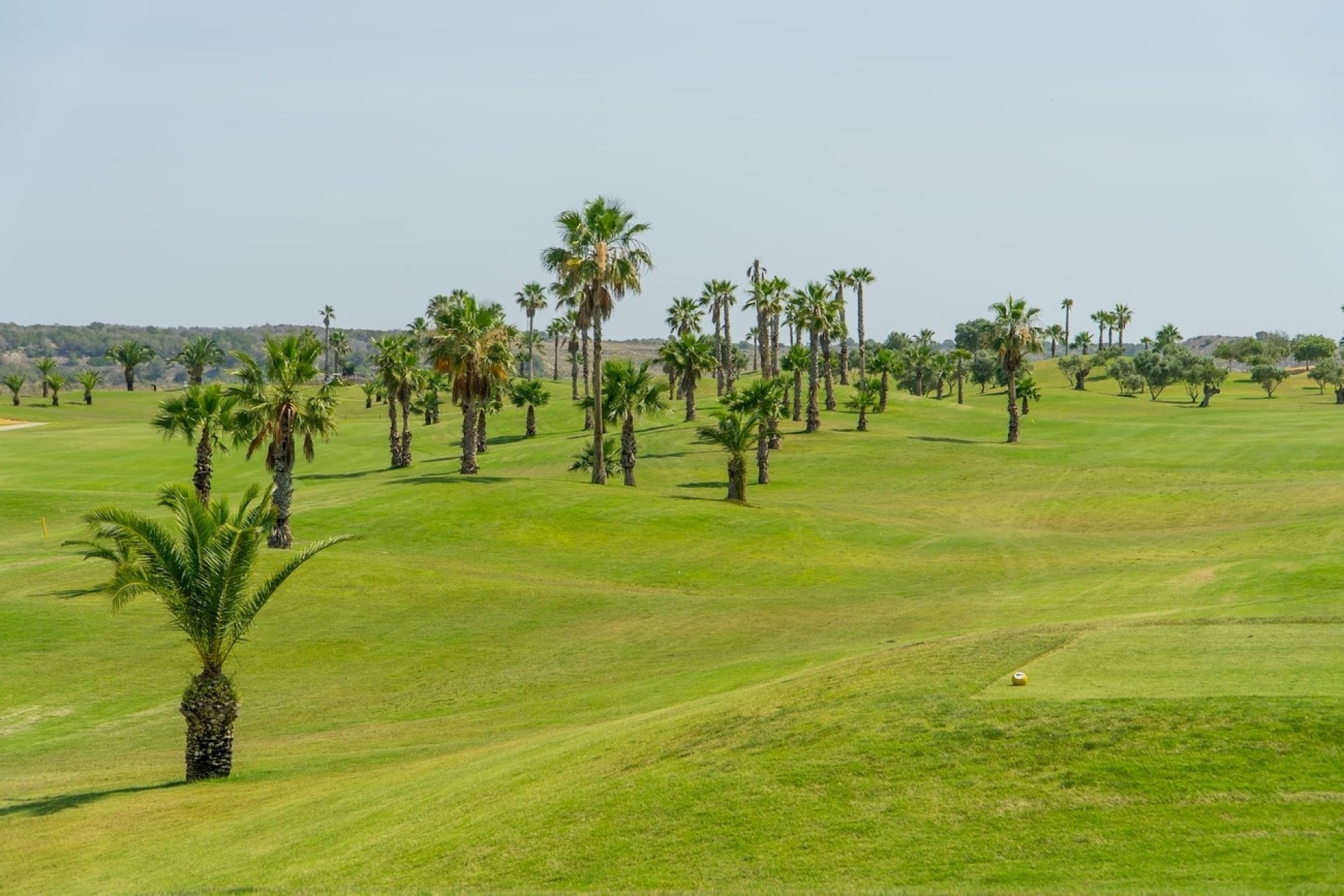 Resale - Apartment / Flat -
Entre Naranjo - Vistabella Golf - Entre Naranjos - Vistabella Golf
