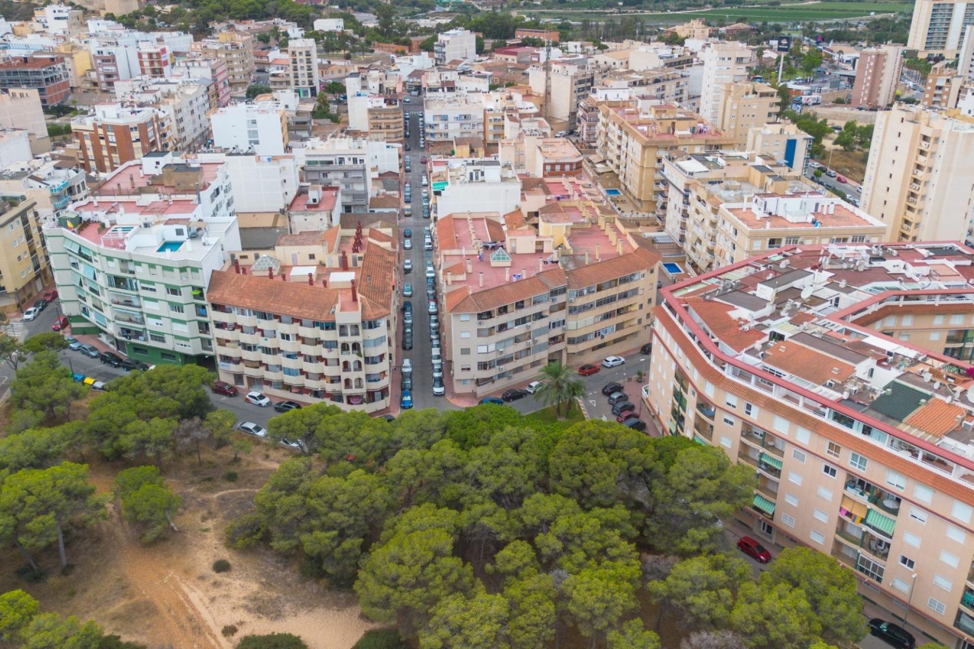Resale - Apartment / Flat -
Guardamar del Segura - CENTRO