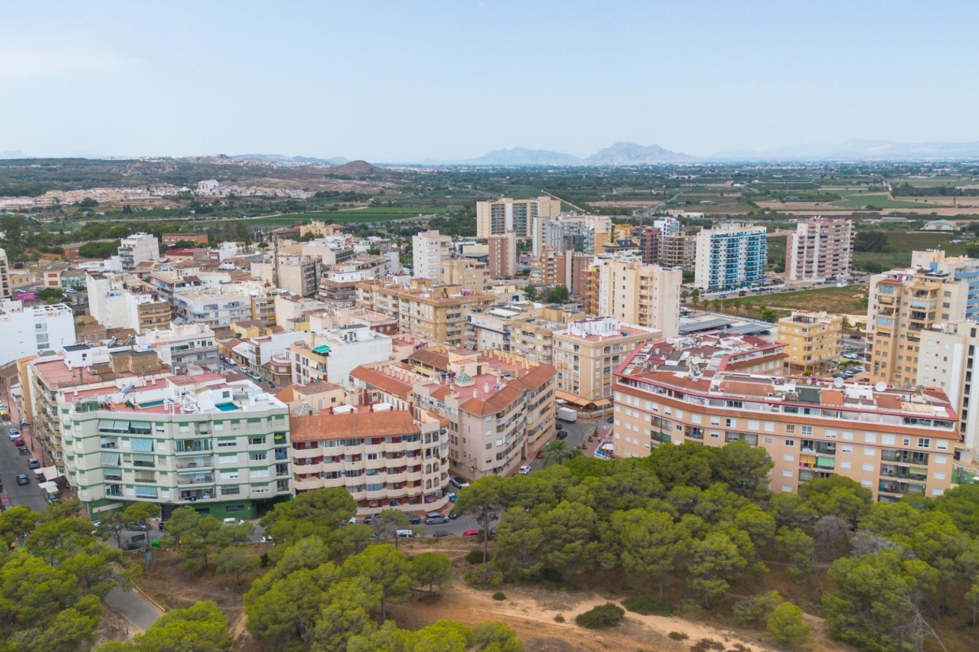 Resale - Apartment / Flat -
Guardamar del Segura - CENTRO