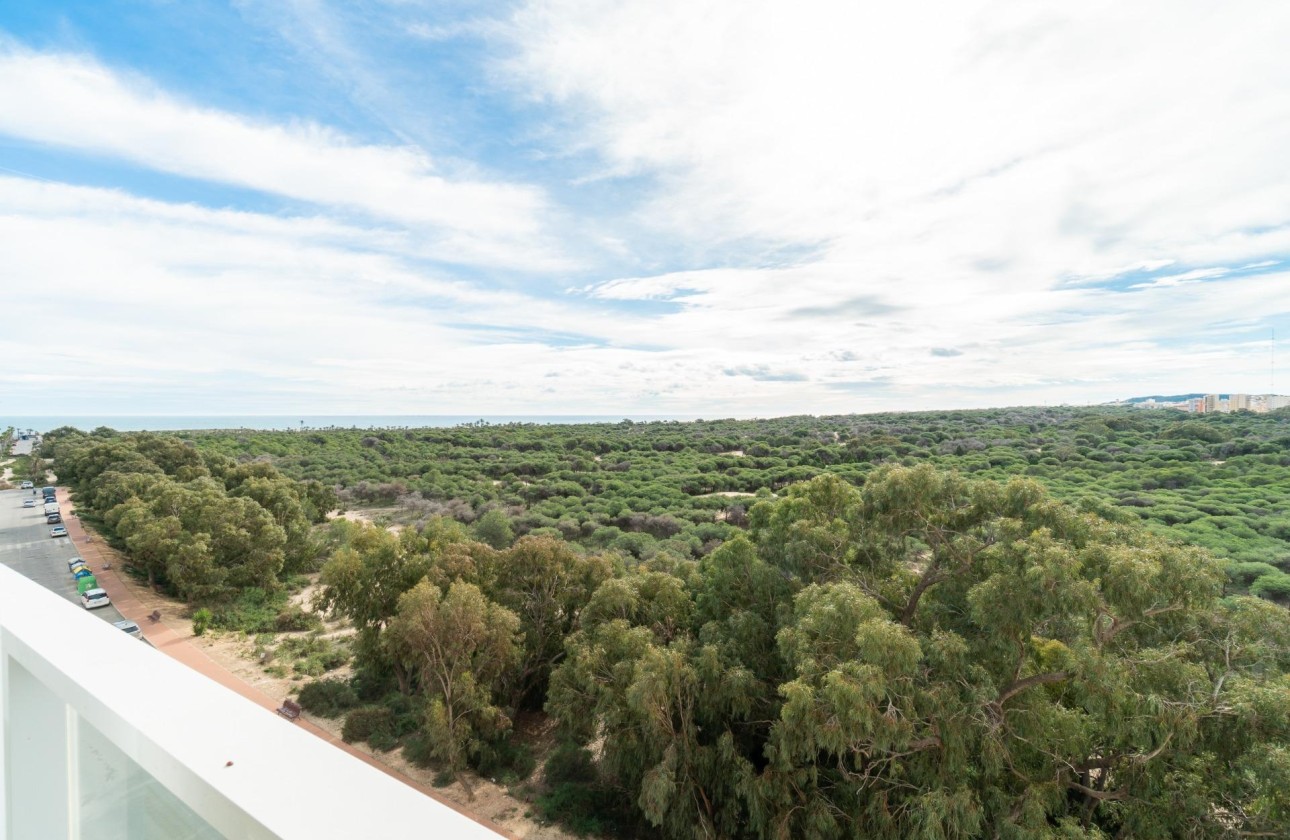 Resale - Apartment / Flat -
Guardamar del Segura - Puerto Deportivo