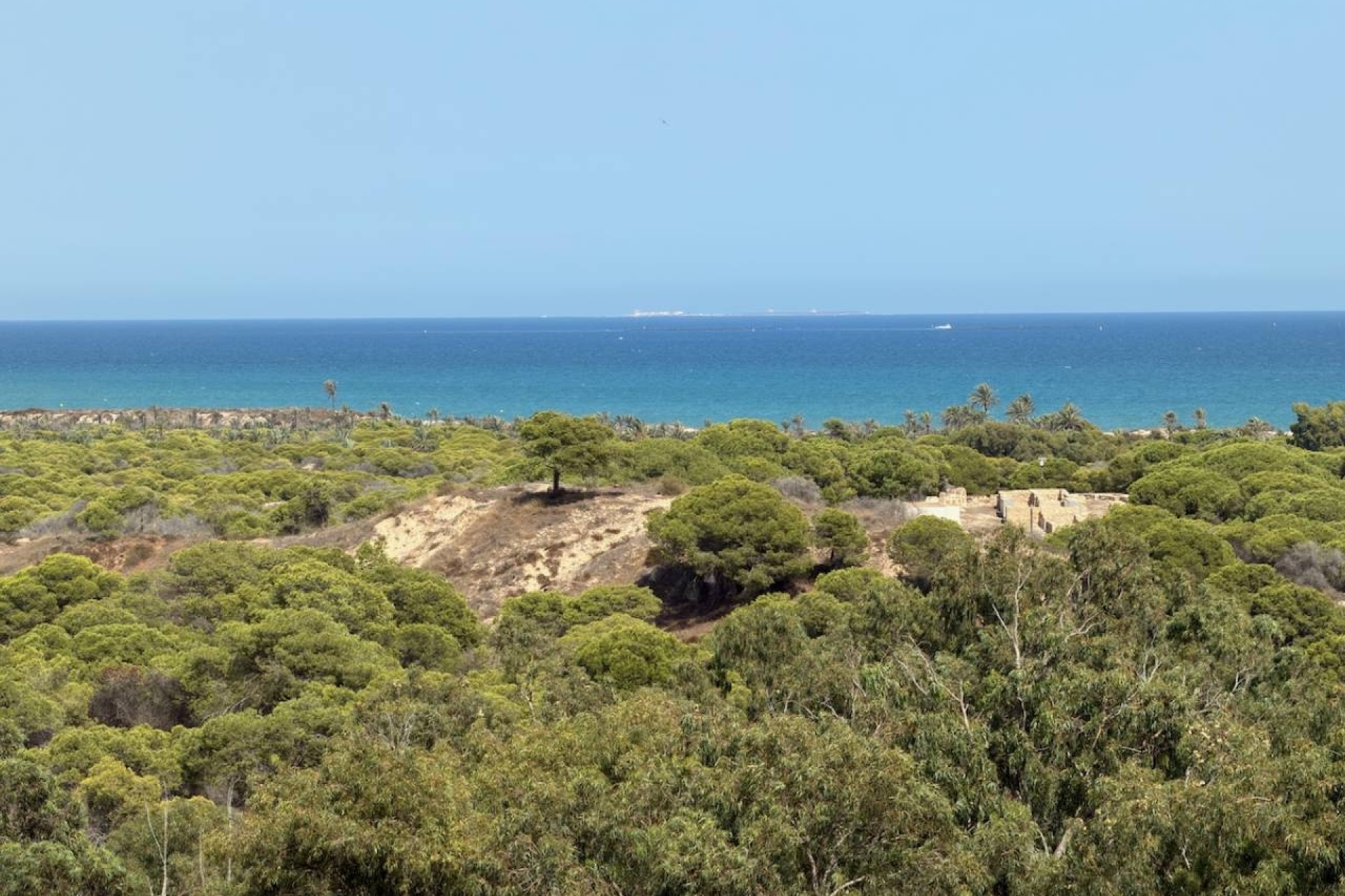 Resale - Apartment / Flat -
Guardamar del Segura