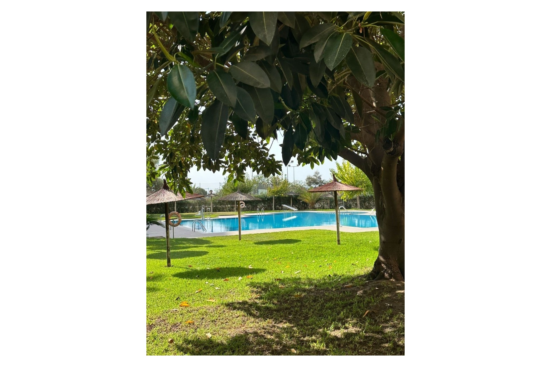 Resale - Apartment / Flat -
Guardamar del Segura