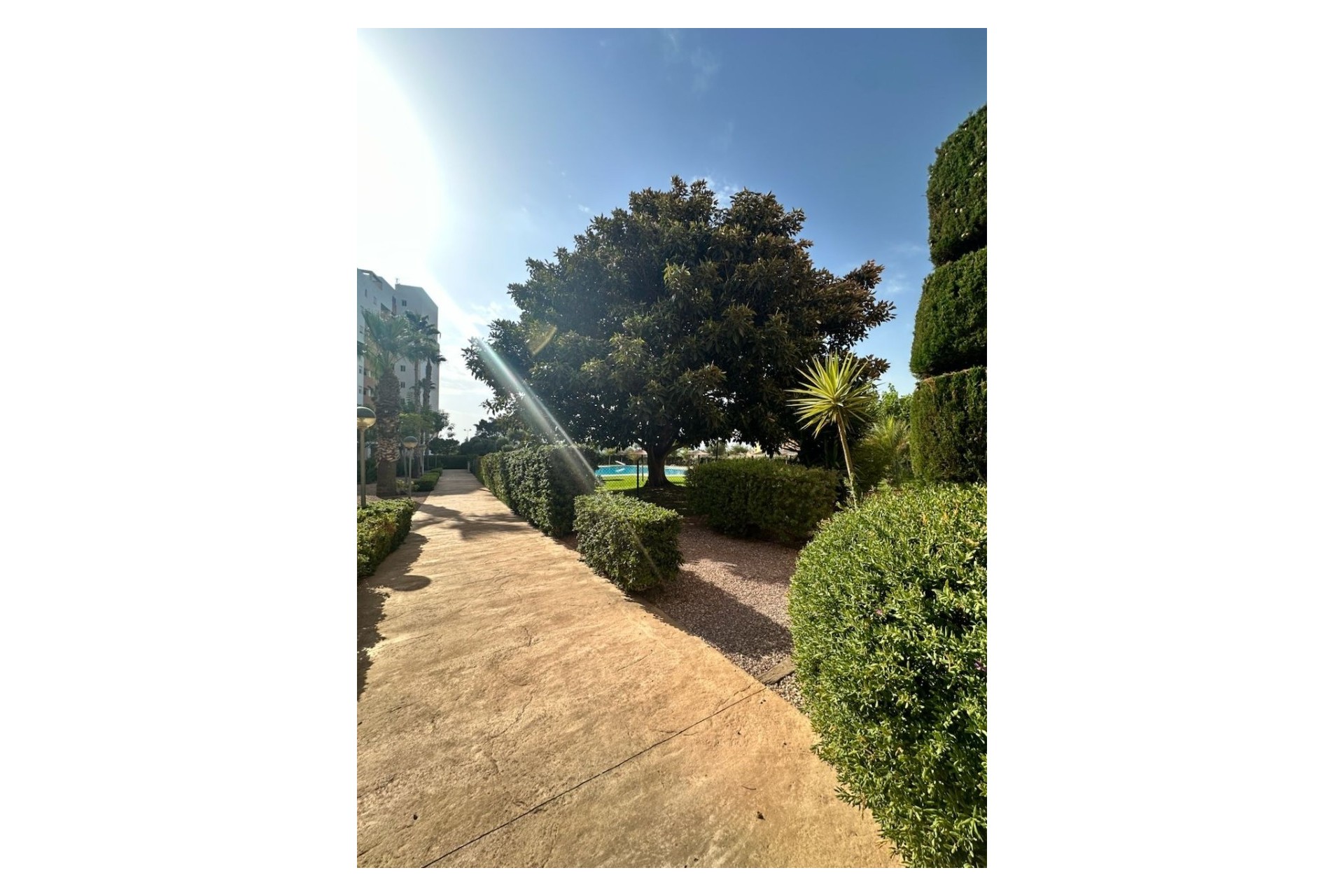 Resale - Apartment / Flat -
Guardamar del Segura