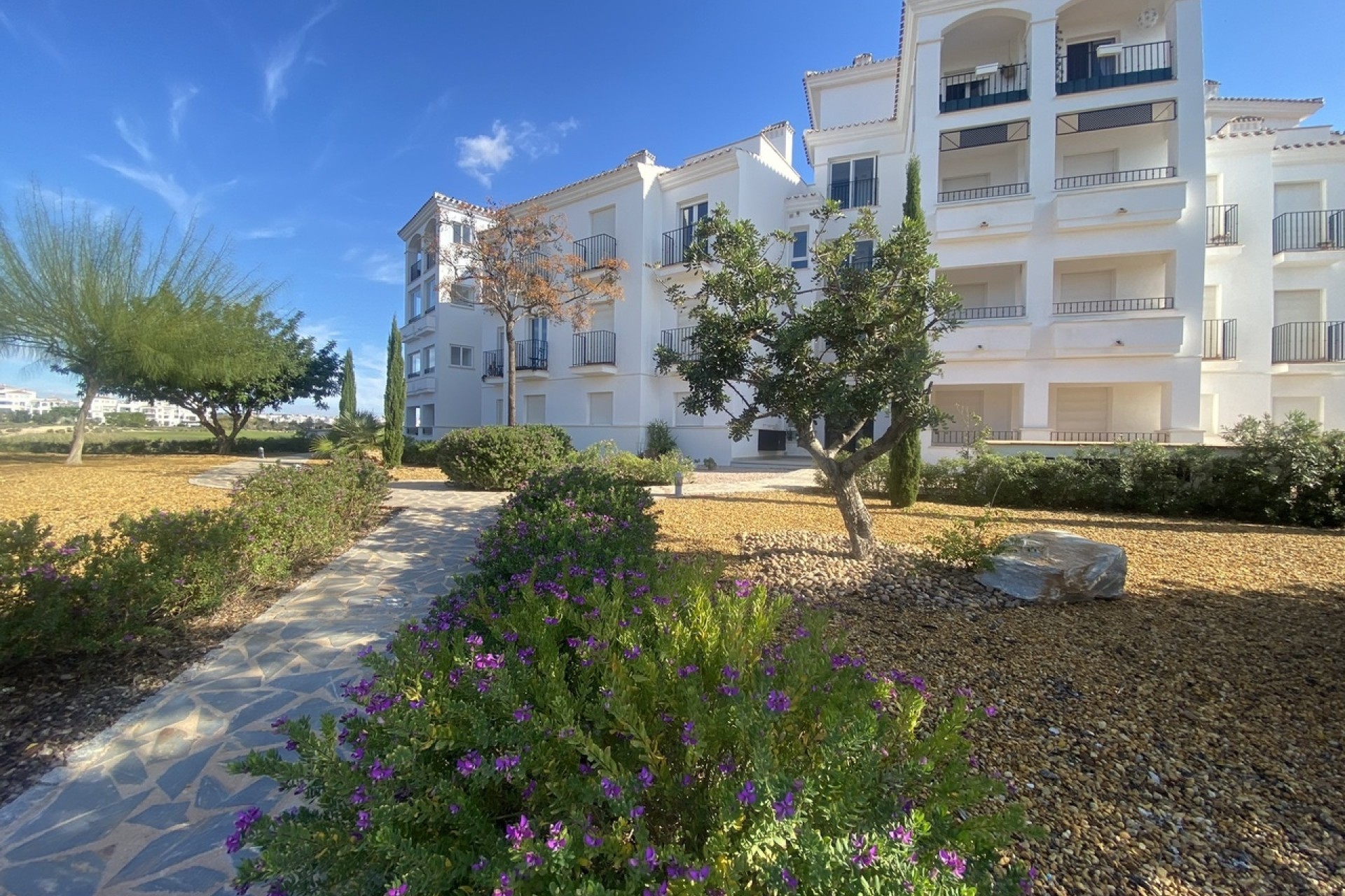 Resale - Apartment / Flat -
Hacienda Riquelme Golf Resort