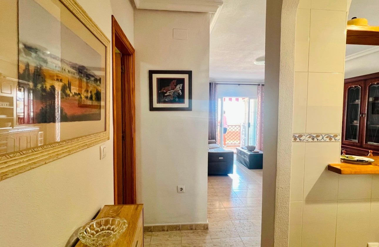 Resale - Apartment / Flat -
La Mata