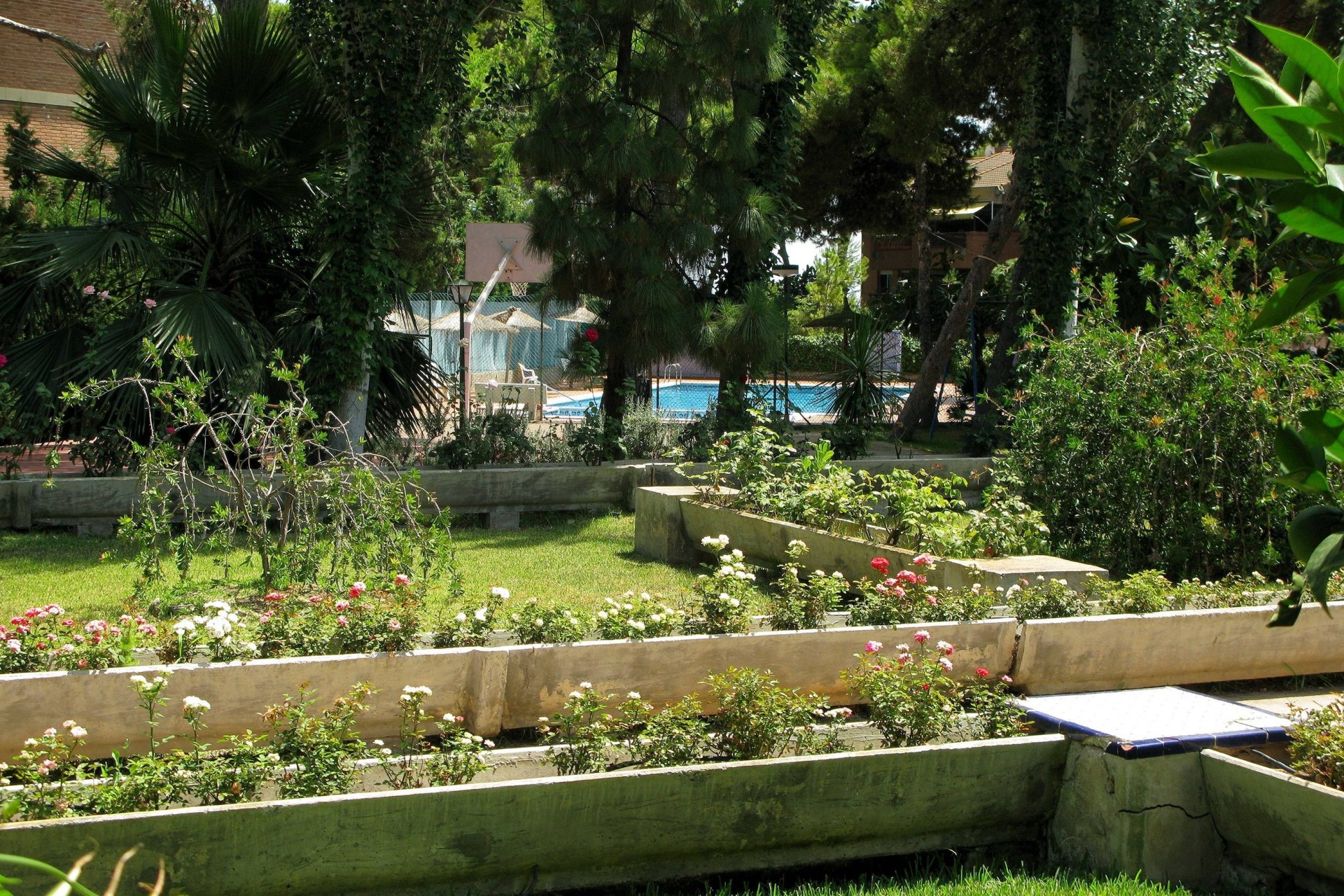 Resale - Apartment / Flat -
Lo Pagan - 1Âª Linea De Playa
