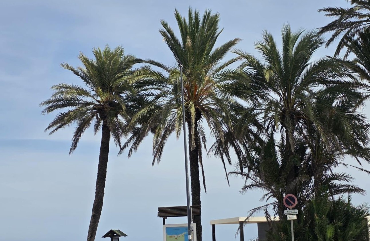 Resale - Apartment / Flat -
Orihuela Costa - Altos de Campoamor