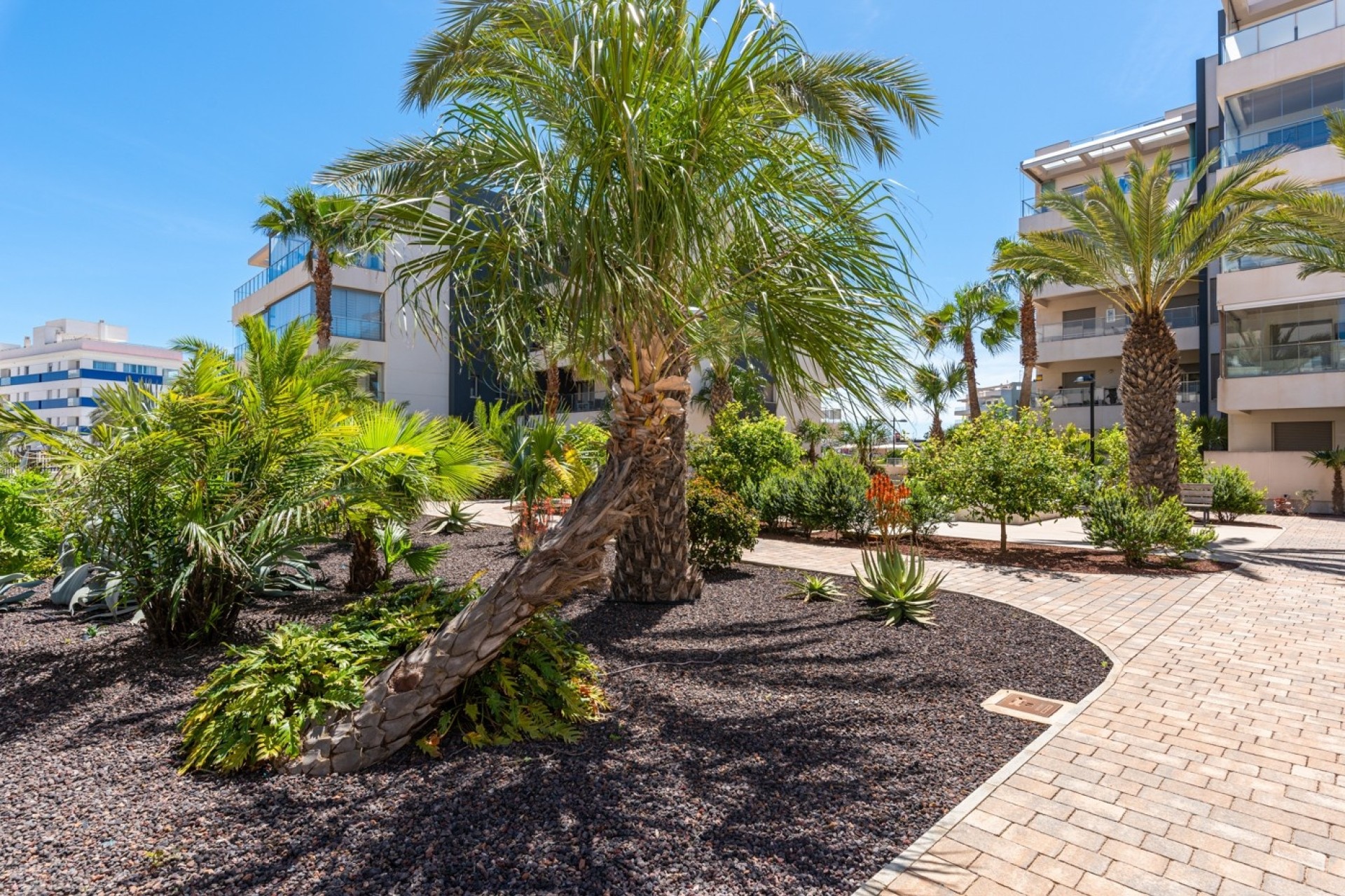 Resale - Apartment / Flat -
Orihuela Costa - Los Dolses
