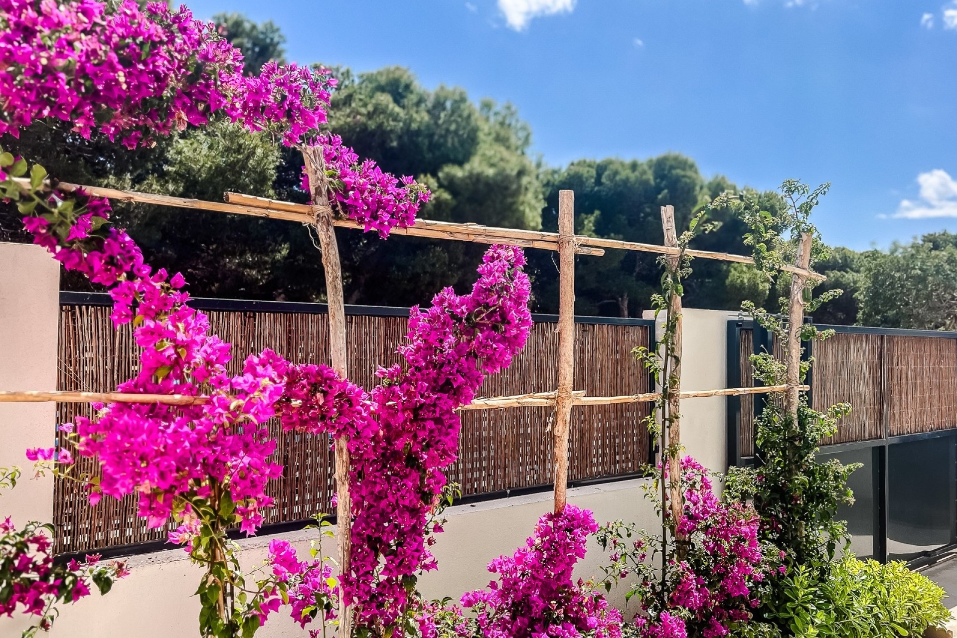 Resale - Apartment / Flat -
Santiago de la ribera - zona san blas