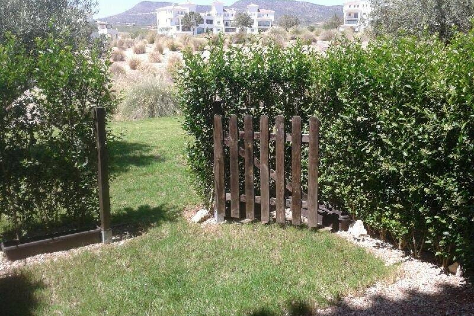 Resale - Apartment / Flat -
Sucina