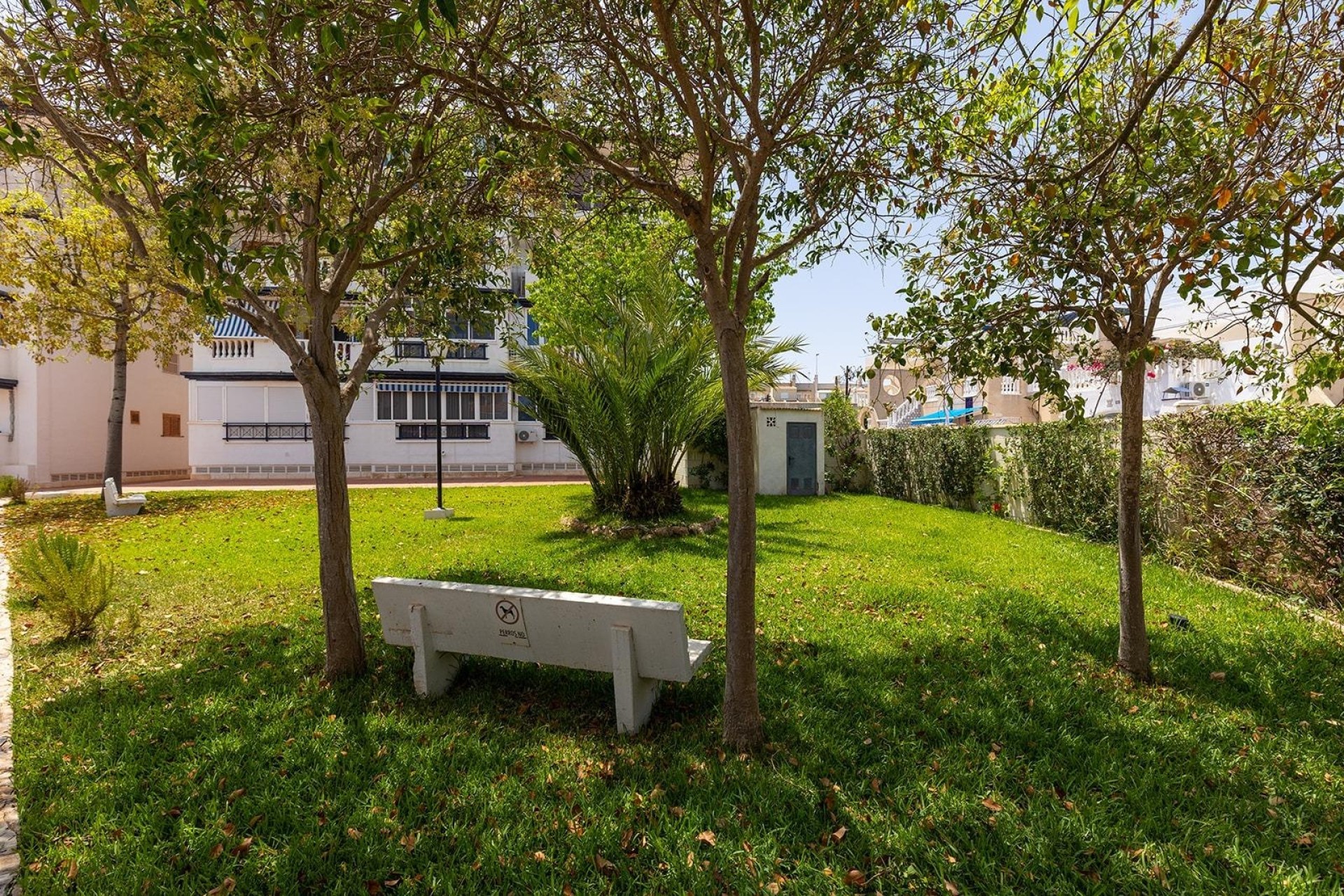 Resale - Apartment / Flat -
Torrevieja - La Mata