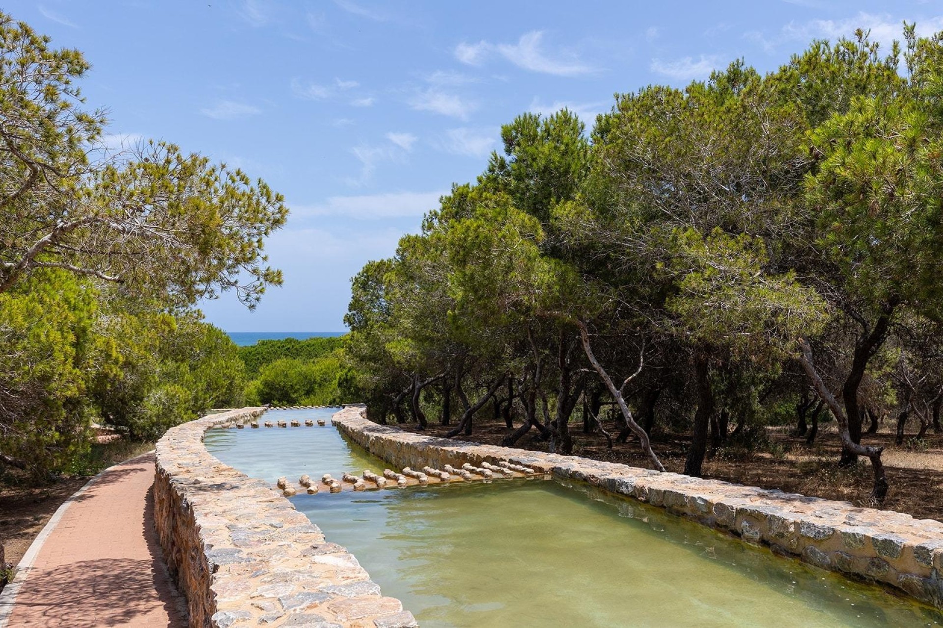 Resale - Apartment / Flat -
Torrevieja - La Mata