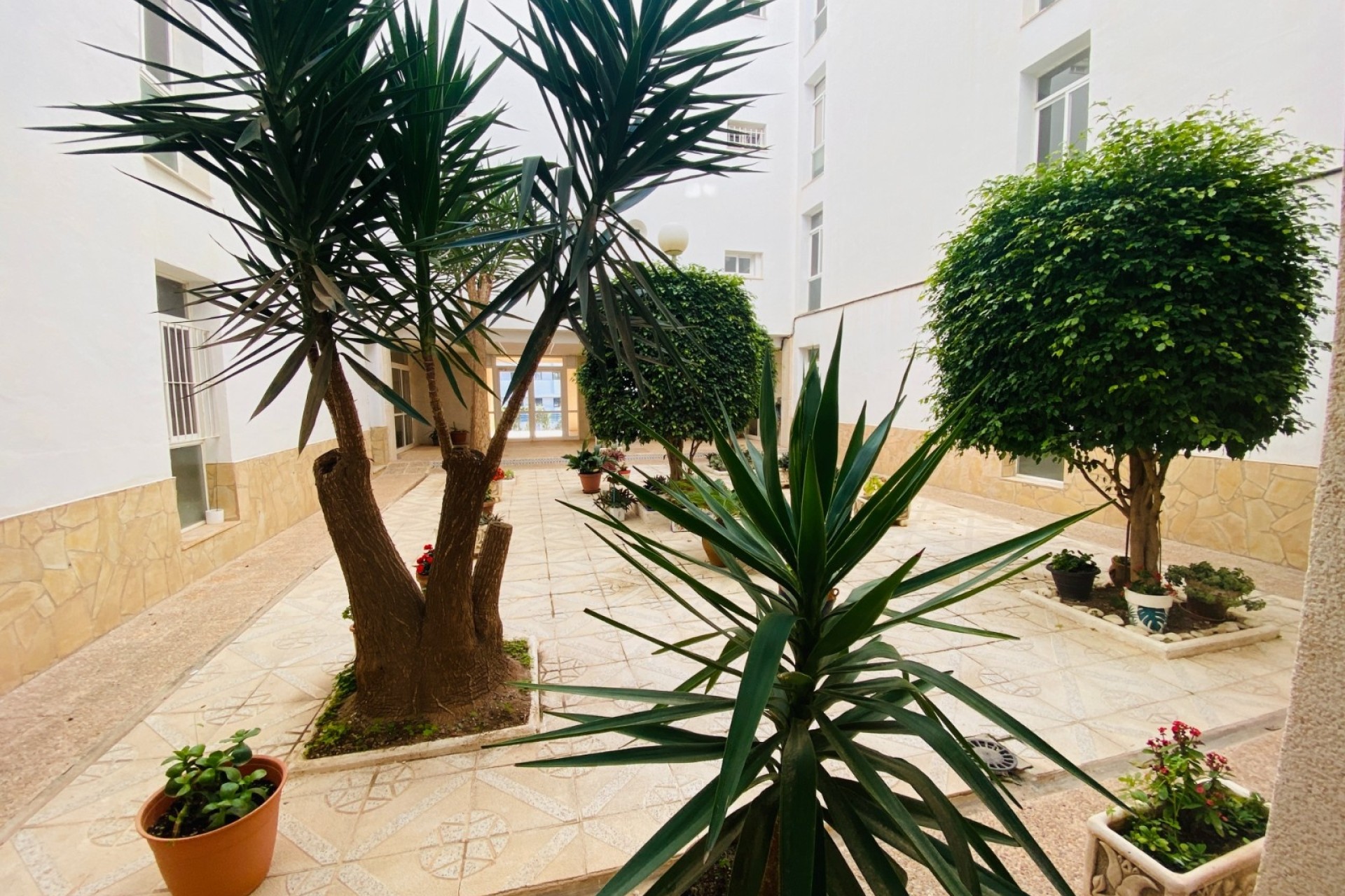 Resale - Apartment / Flat -
Torrevieja - Torreblanca