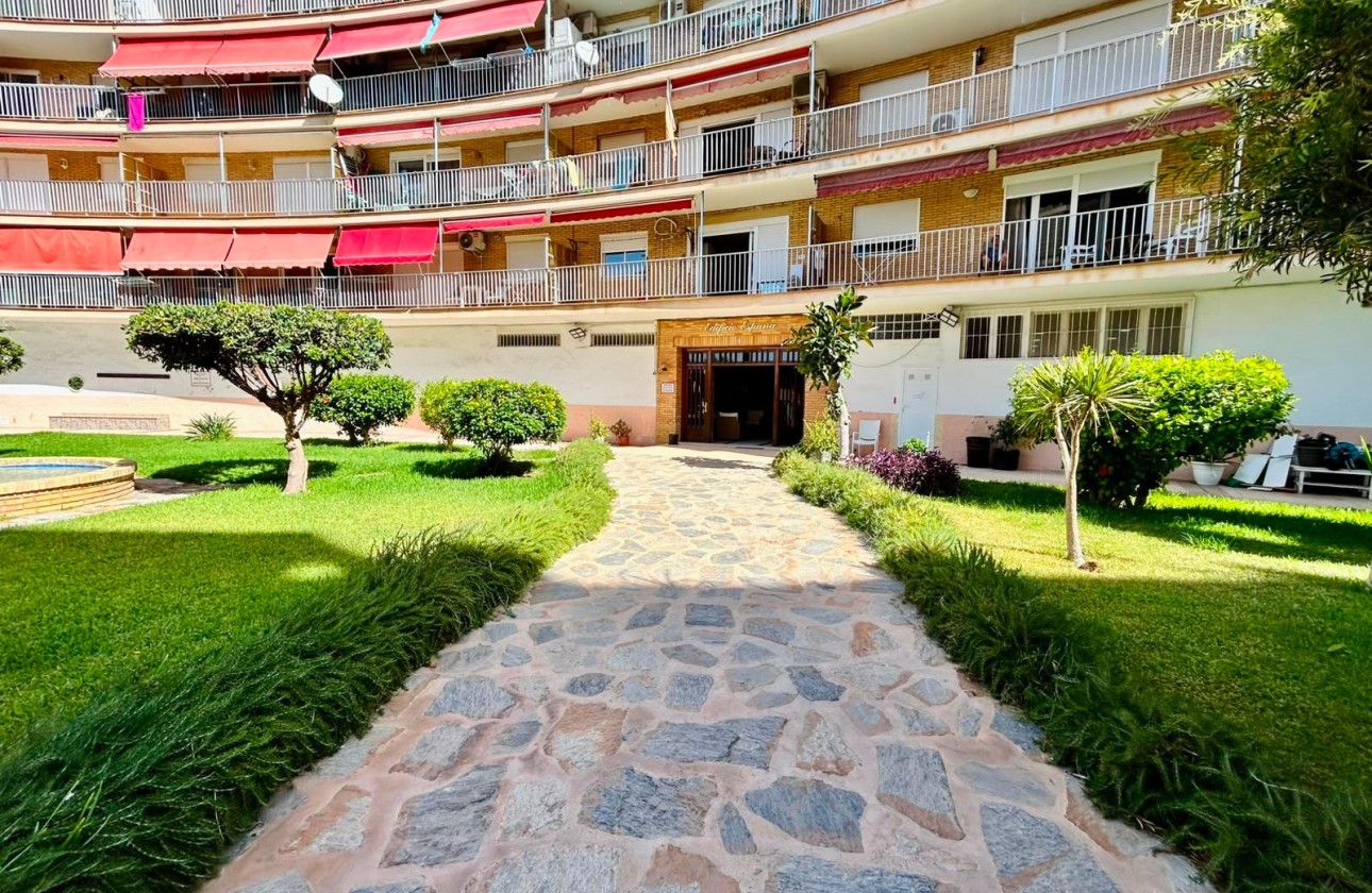 Resale - Apartment / Flat -
Torrevieja