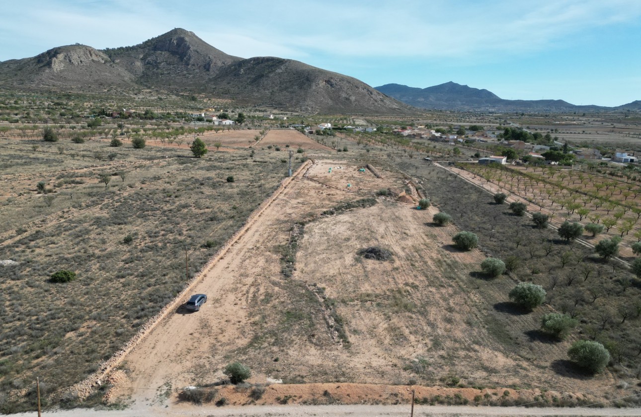 Resale -  -
Barbarroja