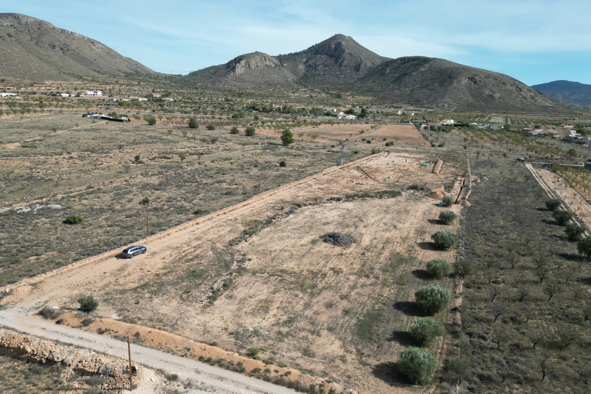 Resale -  -
Barbarroja