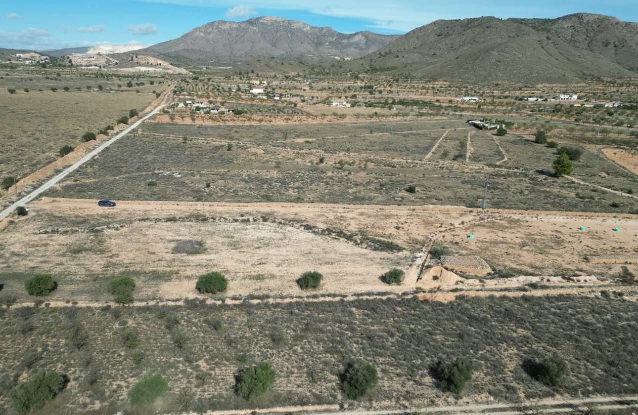 Resale -  -
Barbarroja